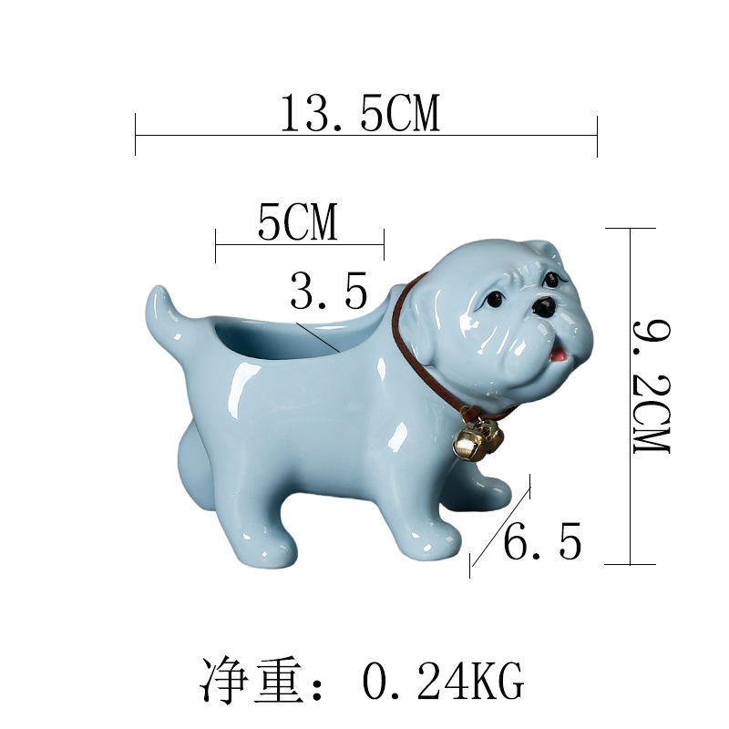Shar pei bleu