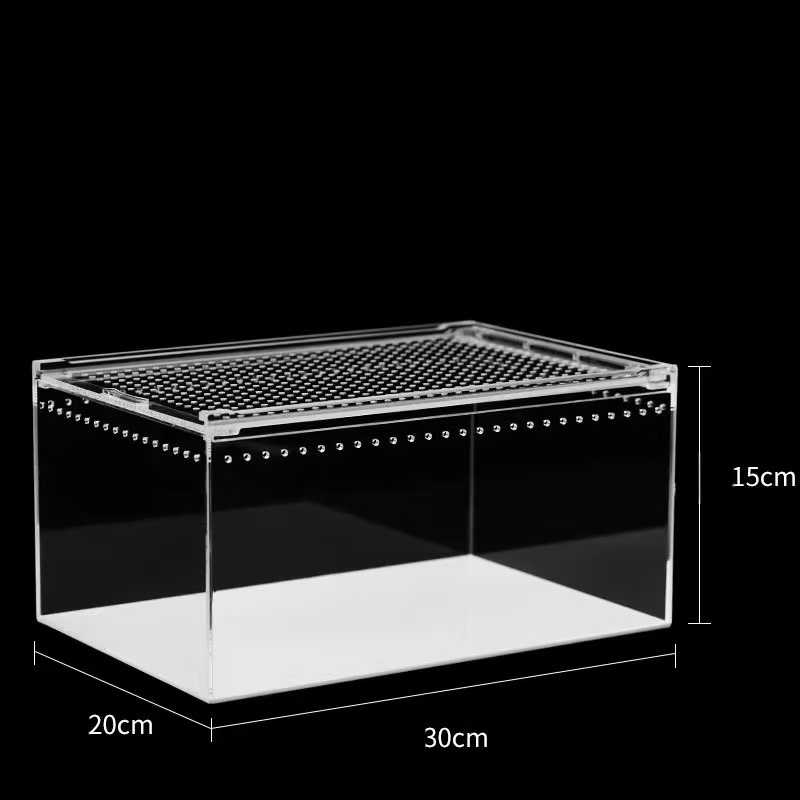 Transparent L: 30*20*15cm
