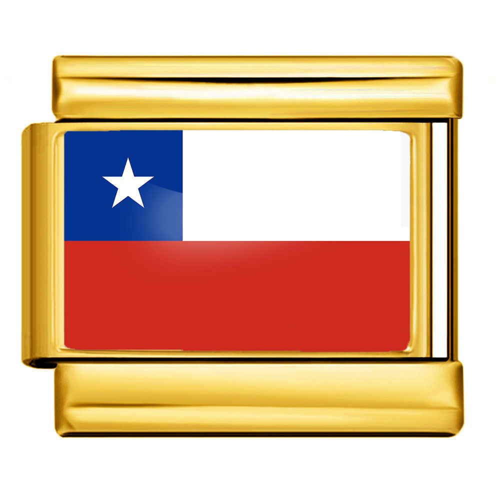 Icy0001-cl-Chile