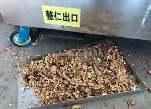 工业核桃去皮机胡桃脱壳机核桃脱壳机出售 - Product Image 6