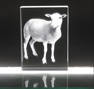 完璧なレーザー2Dおよび3D多機能Uvレーザーマシン2 in 1 Ucレーザーマーキングマシンと3Dインナーエングレービングマシン - Product Image 4