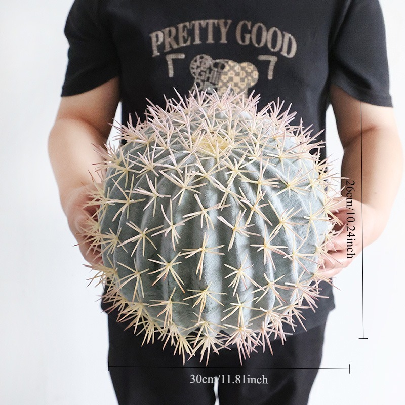 prickly frost spray cactus 30cm