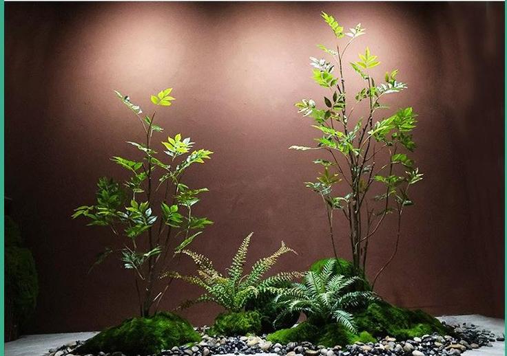 Arbre Huanghuali, ensemble un