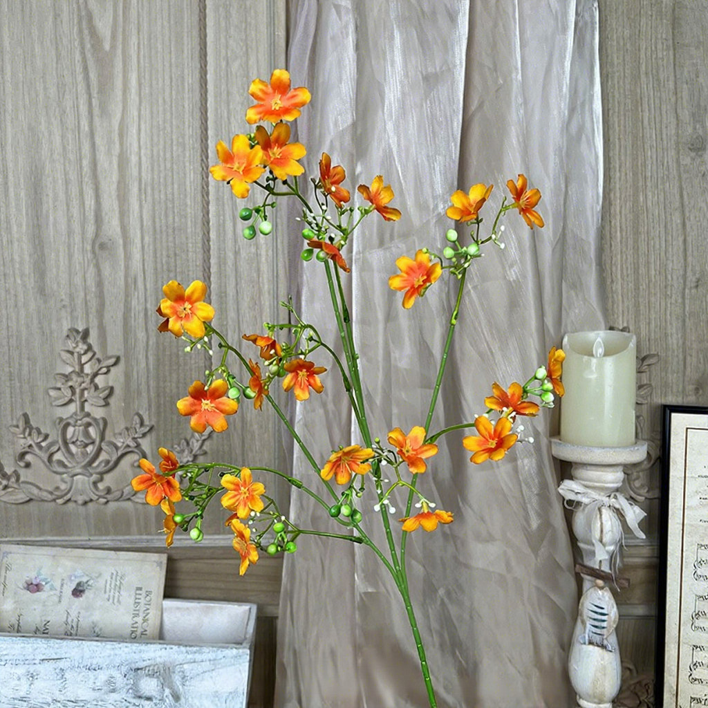 Arancione