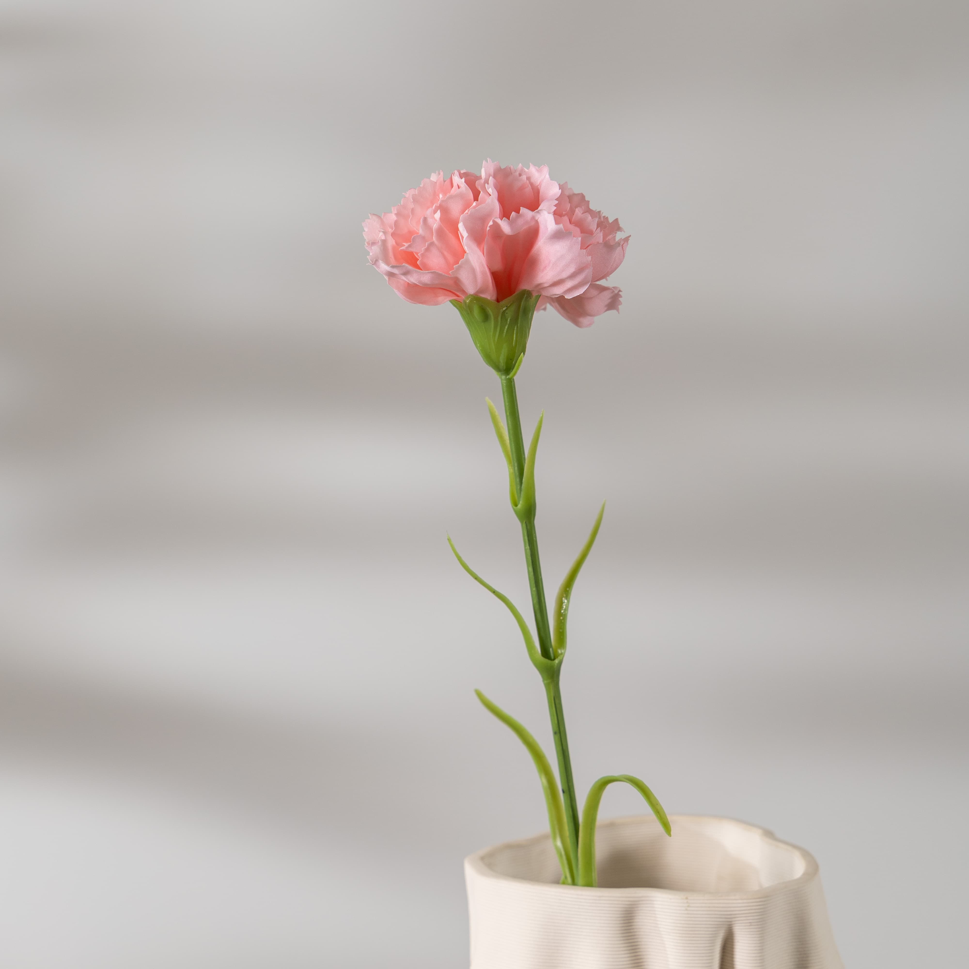 Rosa claro