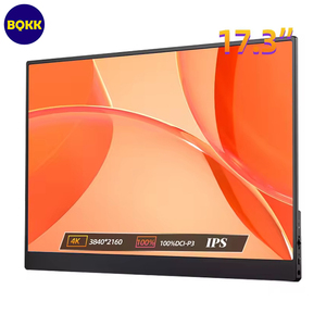 17,3 pulgadas FHD 4K 60HZ 400NIT IPS Pantalla Tipo-C VESA Monitor multiparámetro Configuración de monitor dual con monitor portátil - Product Image 1