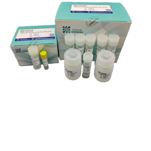 Kit di isolamento dei Nuclei muscolari (TEST 10) dissociazione del tessuto per la ricerca ISO 9001 BA3315 - Product Image 2