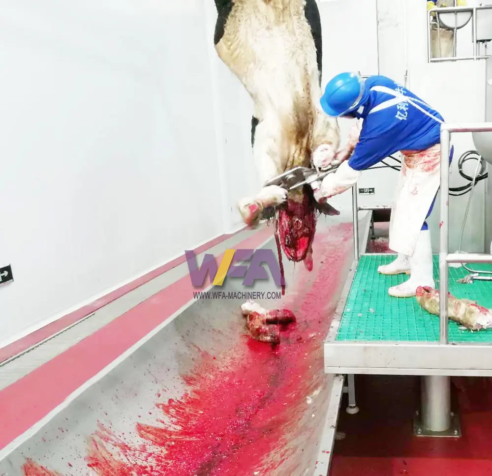 Müslümanlar kesim sığır ve koyun mezbaha kan toplama tankı için sığır Abattoir helal kesim makinesi özelleştirilebilir