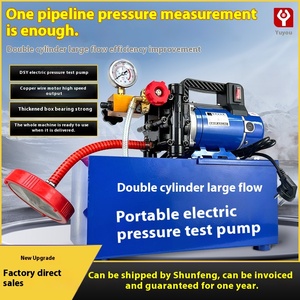 Tragbare Elektrische DSY-25/60 Hydraulikpumpe Doppelzylinder Wasserleitungs-Druckprüfgerät Reines Kupfer 1 Jahr Garantie - Product Image 5