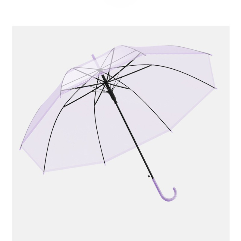 Lilac Purple