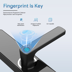 Finger Print elettrico digitale telecomando Smart Keypad serratura biometrica Cerradura Inteligente per porta d'ingresso