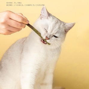 <strong>Catnip</strong> Toys for Cats Toys for Indoor Interactive Cute Kitten Cat Teething Chew Toys for Aggressive Chewers - Product Image 4