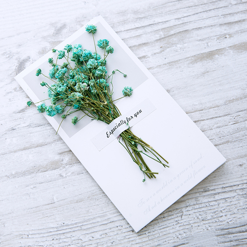 Gypsophila Lake BLUE