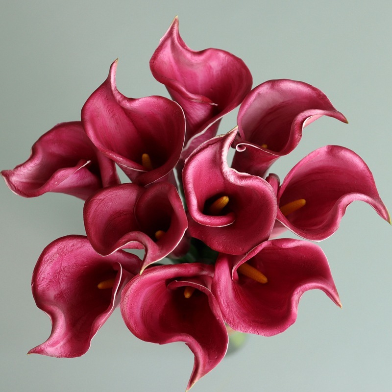 #3 Lys calla rouge violet - tige unique