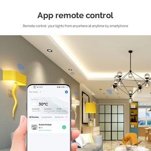 2CH 2-Way <strong>Zigbee</strong> Smart Wall Switch LED Dimmer <strong>Module</strong> Remote Control Tuya Smart Life Compatible Home DIY EU 240V Requires <strong>Zigbee</strong> - Product Image 3