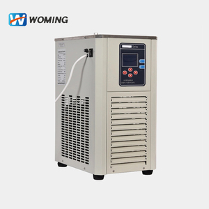 Small Scale 5L Lab Circulation Machine <strong>Low</strong>-temperature Water Bath Recirculating <strong>Chiller</strong> DLSB-5/10 - Product Image 2