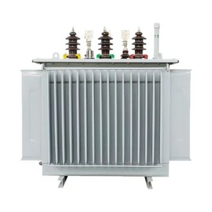 Trasformatore immerso in olio con Design silenzioso e antipolvere con potenza di utilizzo 125kva capacità nominale 11kv tensione di uscita - Product Image 1