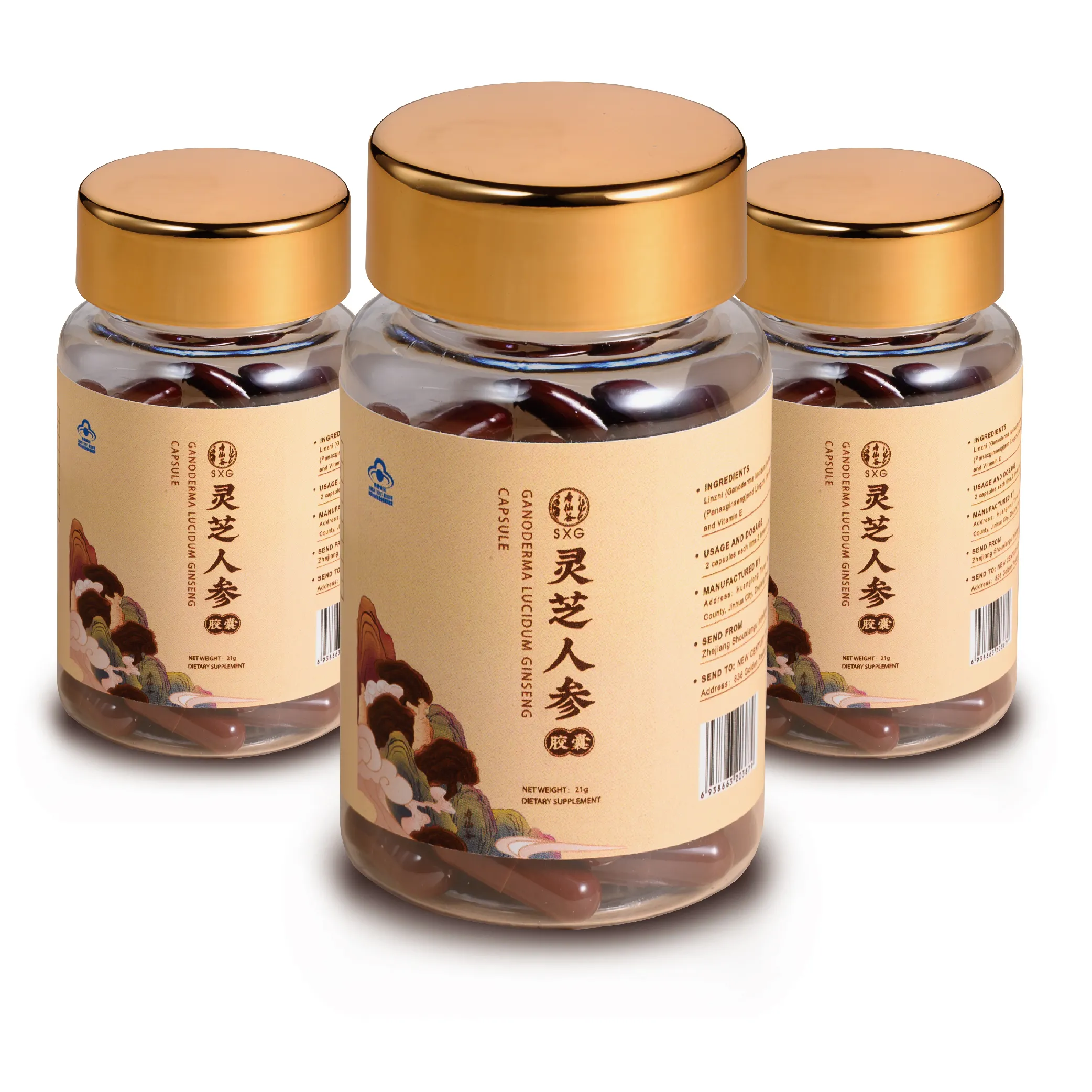 SXG Aging-Delayand Ganoderma Pilz samen Suplemento Ganoderma Applana tum Ginseng Kapseln Preis