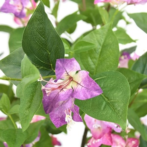 Realistic Design 180cm Fake Bougainvillea <strong>Trees</strong> Artificial Flower <strong>Tree</strong> for Lobby Decor - Product Image 3