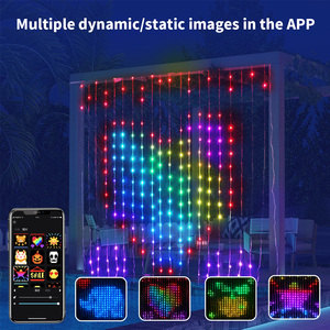 Smart RGB Pixel <strong>Programmable</strong> <strong>LED</strong> Rope Lights Adjustable <strong>LED</strong> Curtain with Voice Control Application ROHS Certified - Product Image 3