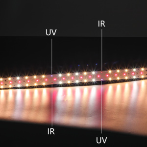 DC24V 30W Samsung LM281B+ <strong>LED</strong> Full Spectrum Grow Light Strips with 3000K 5000K 660nm Red UV IR Mixed Color - Product Image 3