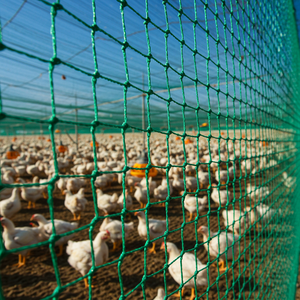 <strong>1</strong> Inch Plastic Chicken <strong>Netting</strong> for Poultry Farms and <strong>Gardens</strong> Protective Fence for Breeding Customizable Cutting Service - Product Image 1