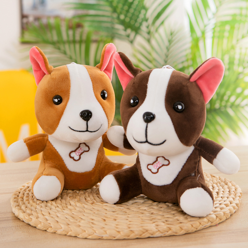 Corgi