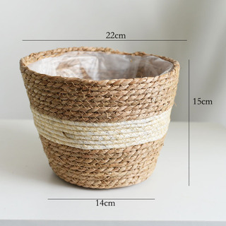 Mécanisé conique beige taille moyenne