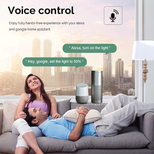 2CH 2-Way <strong>Zigbee</strong> Smart Wall Switch LED Dimmer <strong>Module</strong> Remote Control Tuya Smart Life Compatible Home DIY EU 240V Requires <strong>Zigbee</strong> - Product Image 4