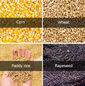 Macchina per la selezione delle sementi per la lavorazione del grano - Product Image 6