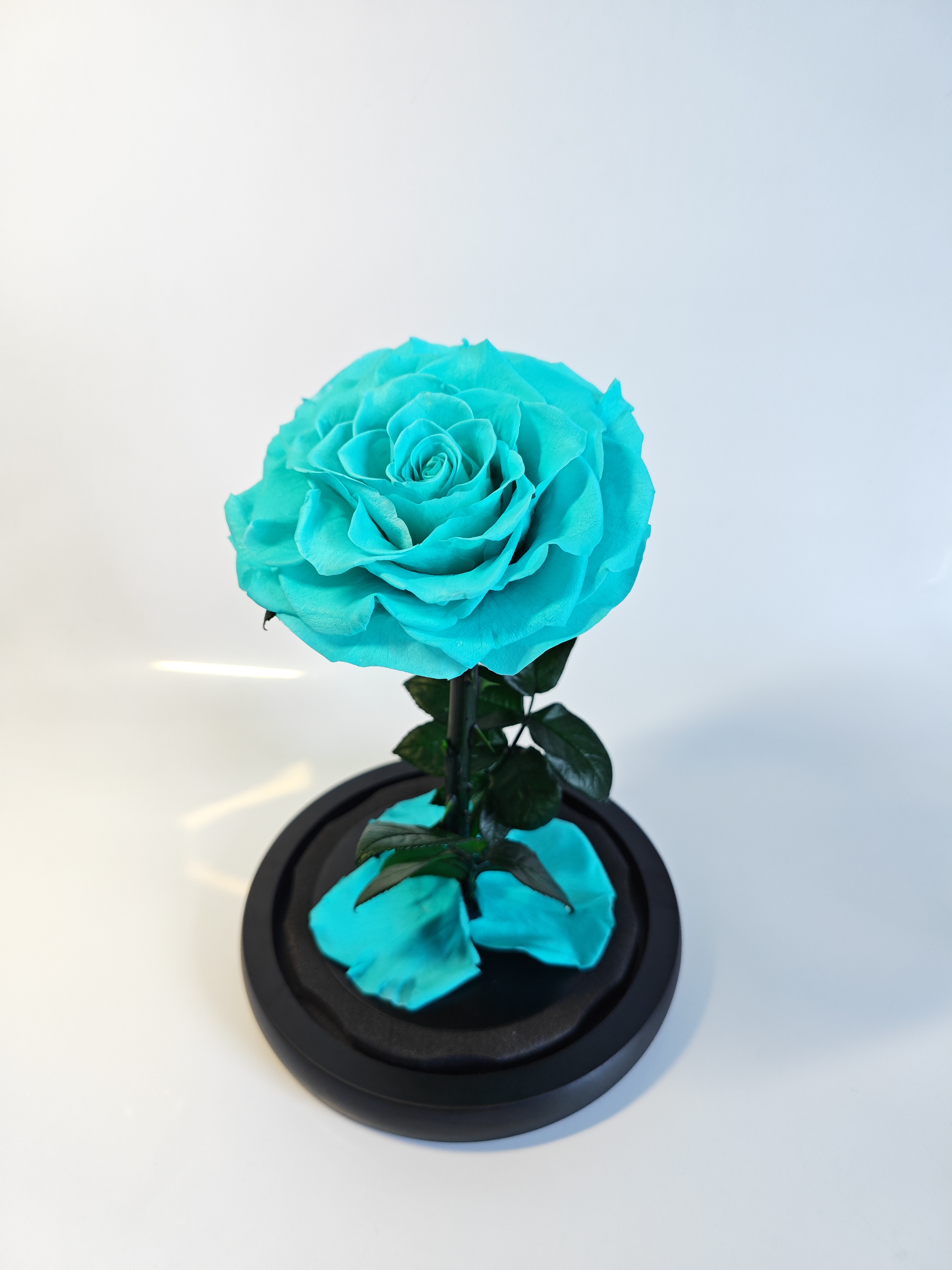 TiffanyBlue