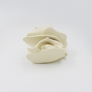 Equipo de enseñanza etmoidal para agrandar la ciencia médica, instrumento científico, modelo de simulación de modelo óseo de disección - Product Image 3
