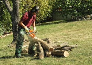 Kesme testereleri, benzinli testereler, küçük orman Felling makineleri, düşük güçlü yakıt ikmali Felling makineleri - Product Image 6