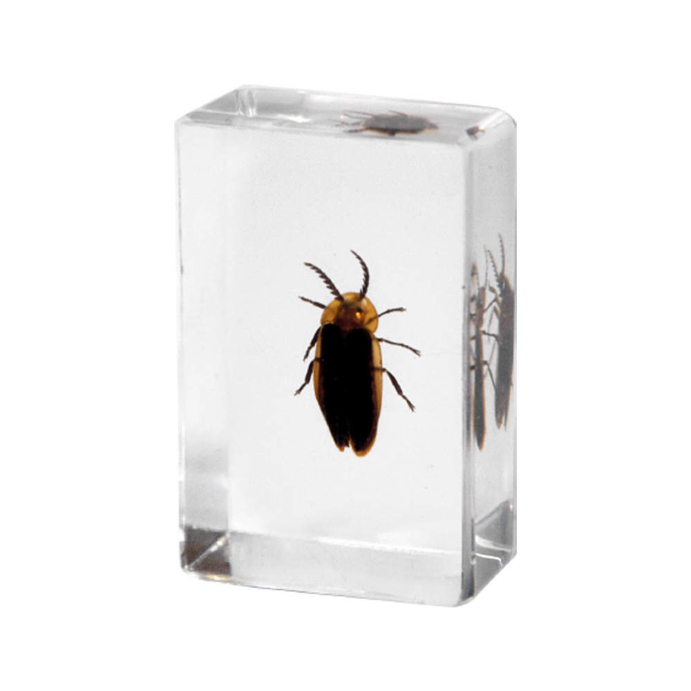 4.5 cm small firefly