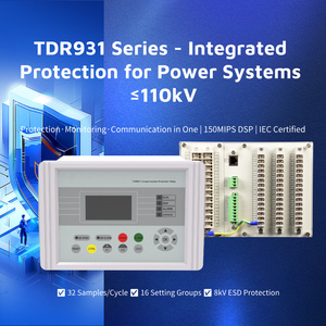 TDR931S <strong>Busbar</strong> Monitoring Unit with <strong>Dual</strong> Voltage Inputs-12-channel Analog Input - Product Image 6