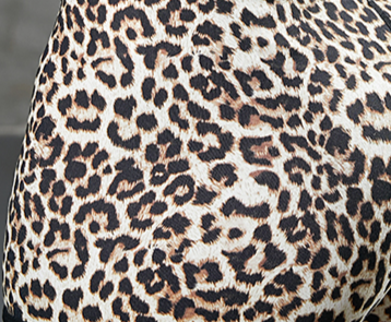 Leopardo
