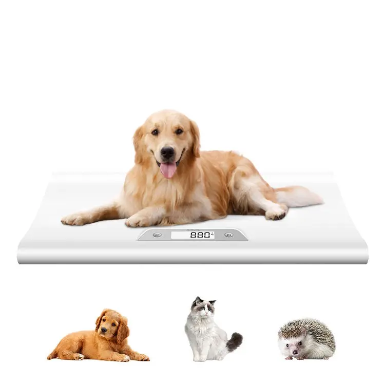 Plataforma 20kg bascula para animales clínica veterinaria de mascotas bebé mascota gato perro animal báscula digital para mascotas