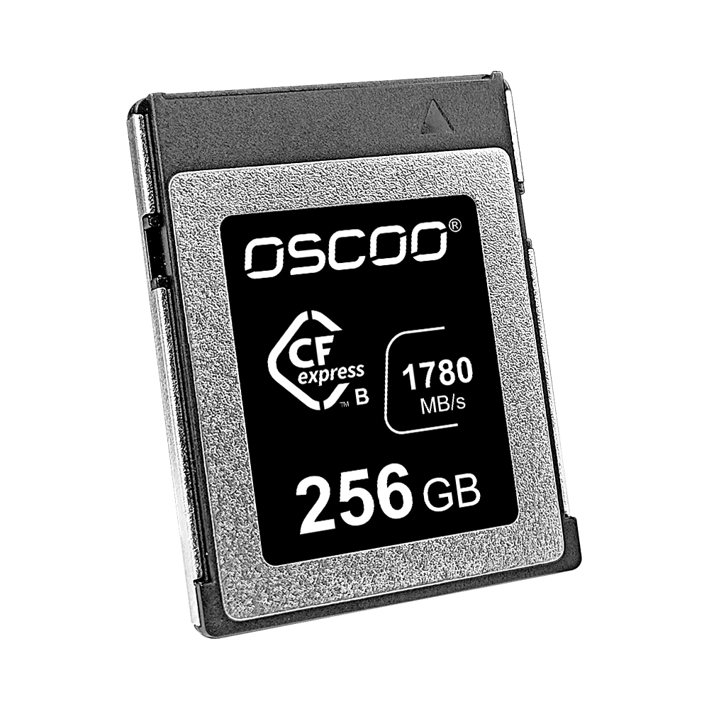 256GB