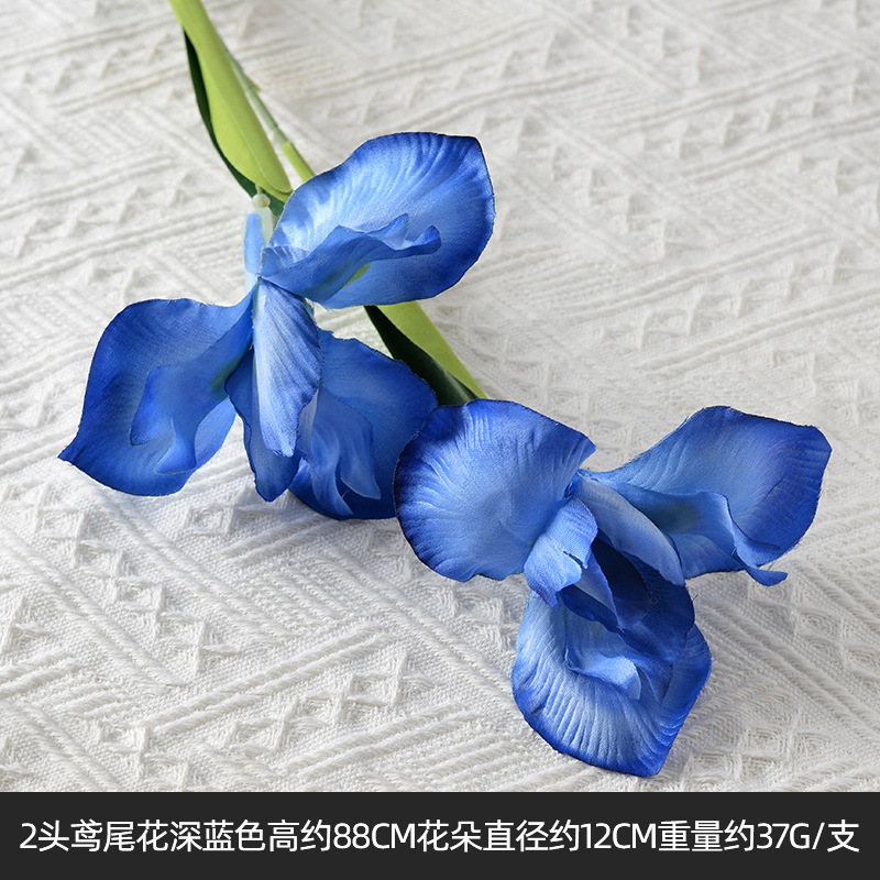 2 iris bleu foncé