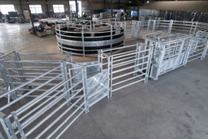 Cattle Management Systems With Revolving Doors Extrusion Group Separation Doors Balustrades Loading Cattle <strong>Ramps</strong> - Product Image 4