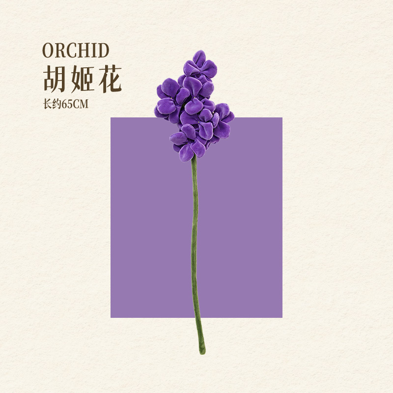 ORQUÍDEA