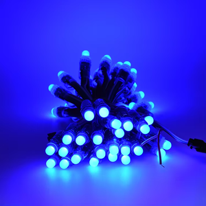 Лидер продаж WS2811 WS1903 RGB полноцветный светодиодный пиксельный модуль водонепроницаемый адресуемый 5 В 12 В струнный свет для сада IP65 ПВХ корпус - Product Image 6