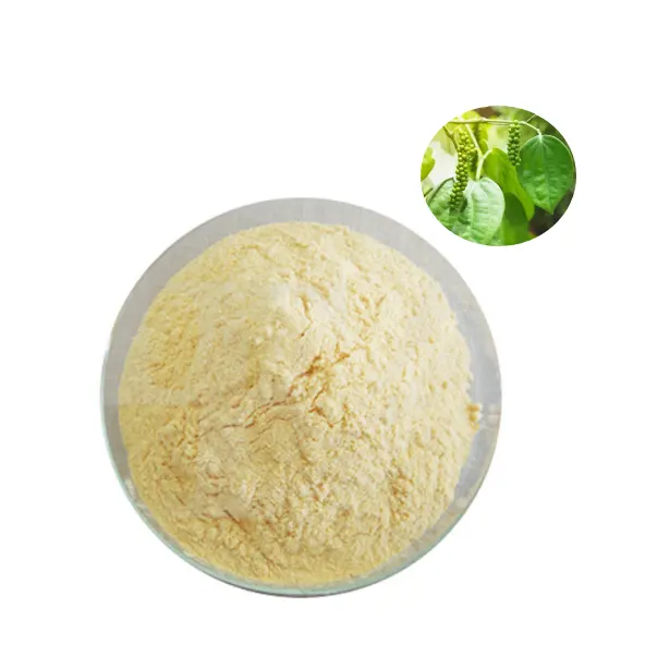 Chinese Supplier Organic Herbal Extract Fiji Kava Piper Methysticum Root Extract Powder Hot Selling Kavalactone 70% 60% 50% 40%