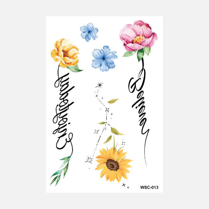 Wsc-013-10x15cm