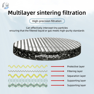 Su misura 5 strati sinterizzato maglia in acciaio inossidabile filtro sinterizzato maglia disco Micron industriale di filtrazione delle particelle - Product Image 4