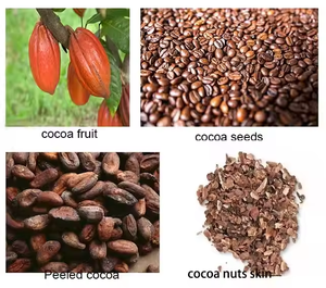 Peladora profesional de granos de café de buena calidad/máquina de craqueo y descascarado de granos de cacao - Product Image 6