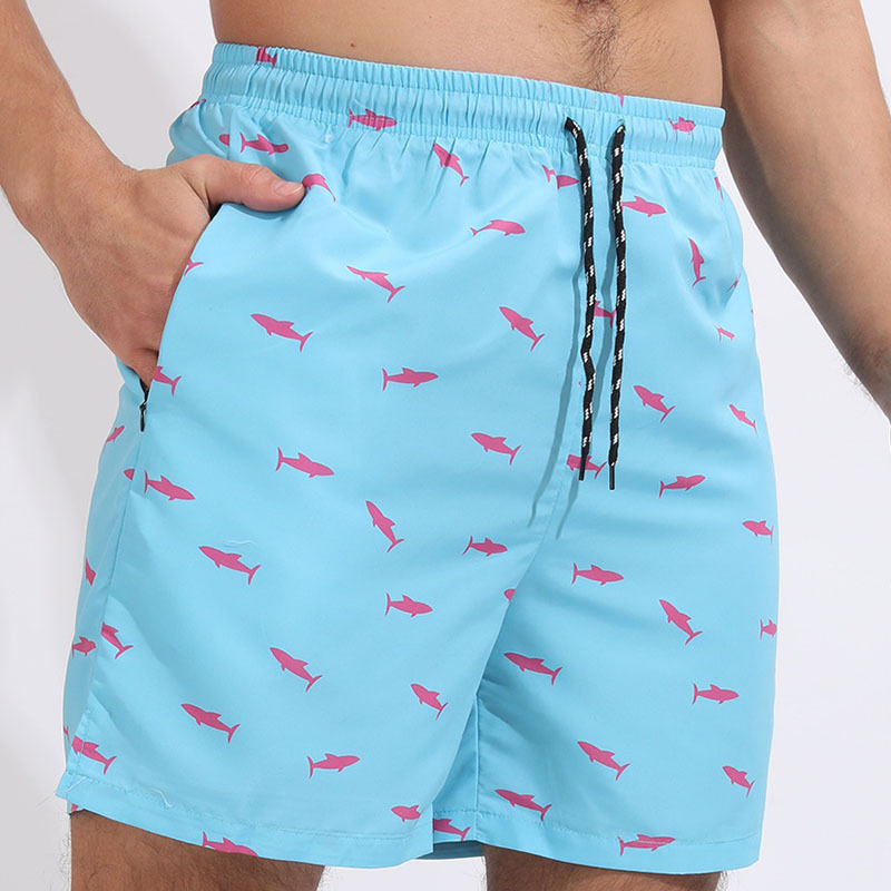15 # chine sud mer petit requin