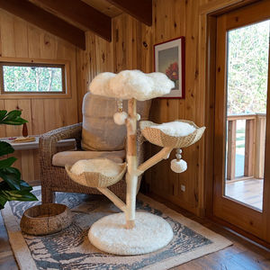 Mainan kucing mewah alami kayu padat pohon kucing mewah Platform melompat kolom Sisal mendukung kustomisasi datang kemasan karton - Product Image 6