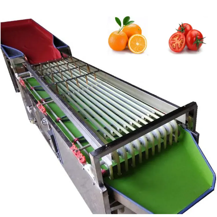 MACHINE de nivellement pour tomate, trieuse de fruits, sortie d'usine, 2020