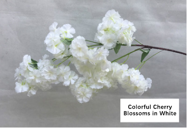 Fleurs de cerisier colorées (blanc)